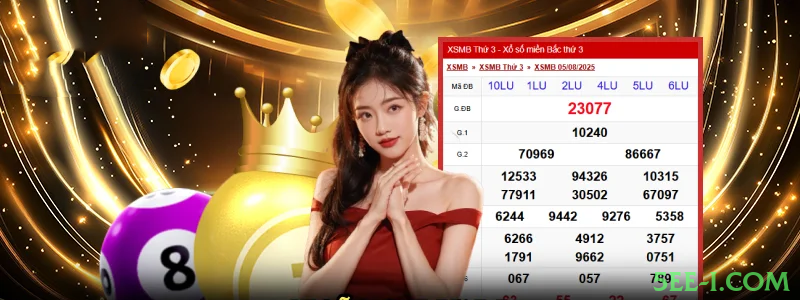 Programa VIP 5ee-i.com